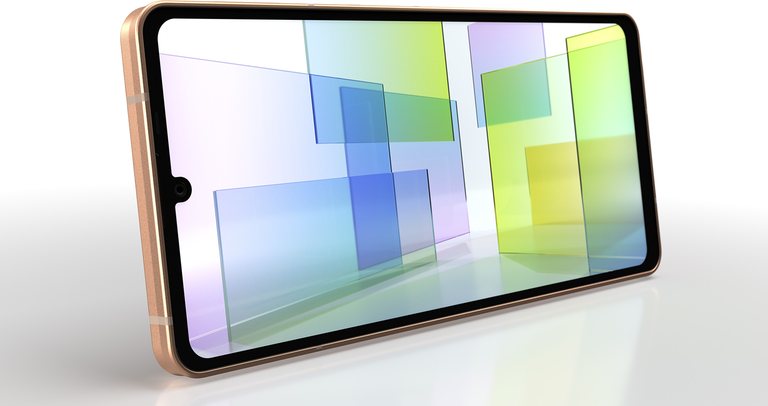 Sharp Aquos Sense6s 5G TD-LTE JP 64GB SH-RM19s